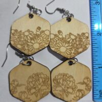 Earrings 2-Pair